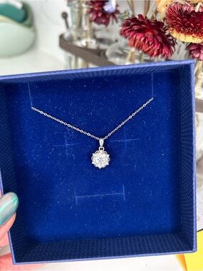 2CT Moissanite rose and thorn pendant with chain